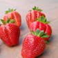 Agro-trus - strawberry, seedlings, fruits, strawberry plantation, strawberry fruits